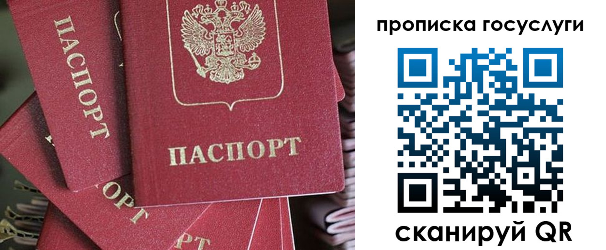 временная регистрация гарантия в Курске